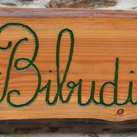 Gites De La Bibudiere Le Boupere Exterior photo